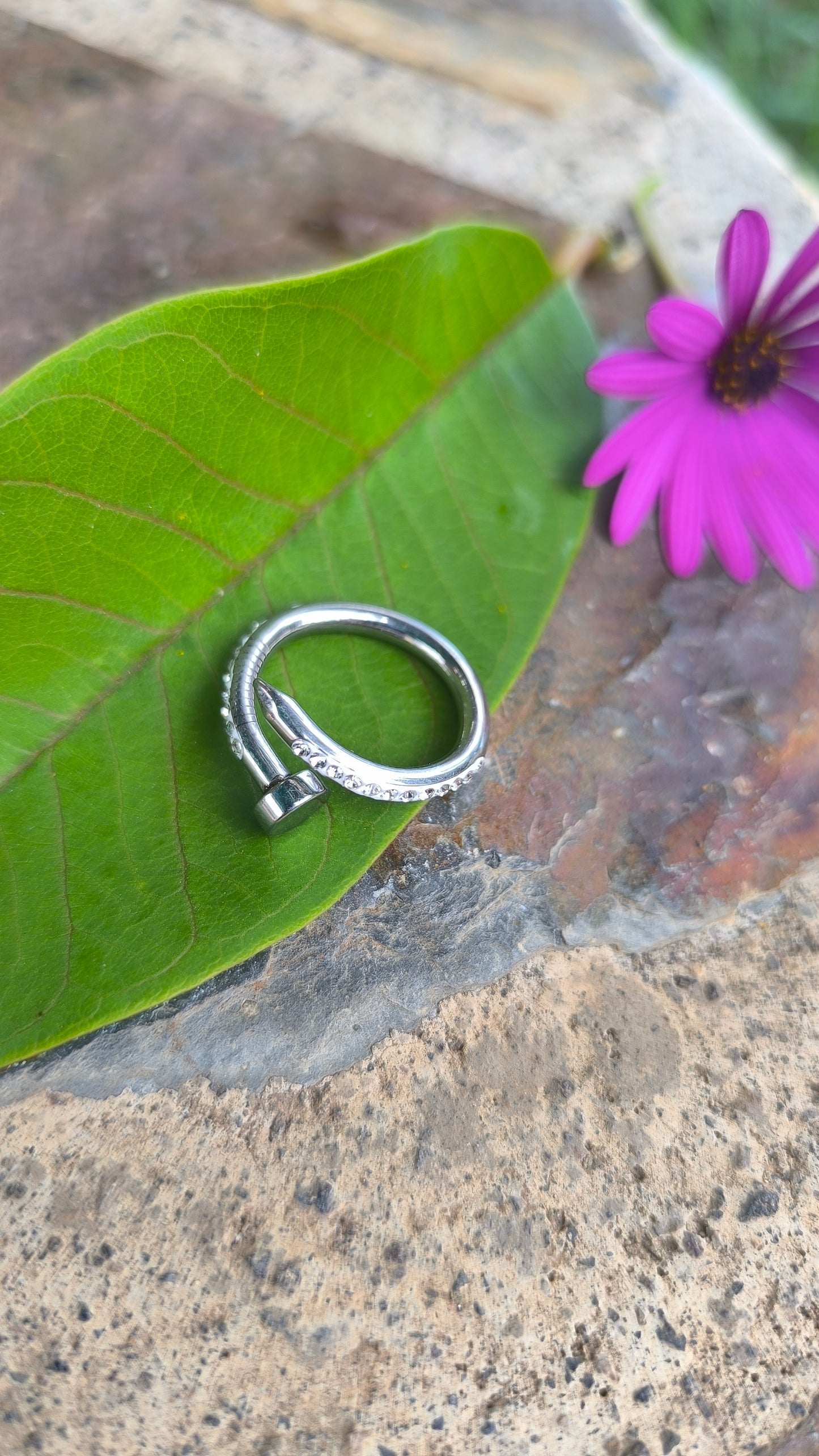 Anillo Clavo