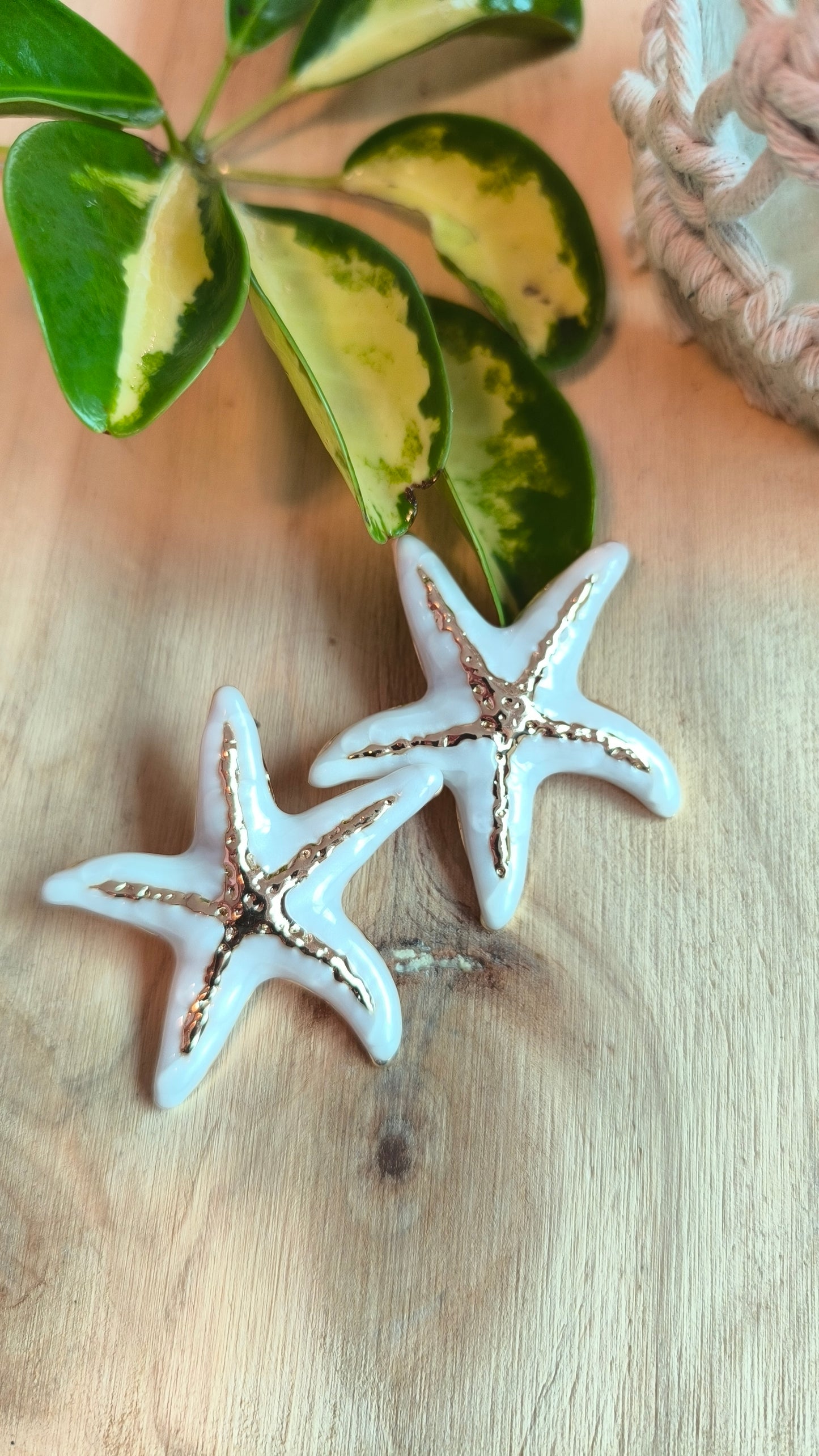 Pendientes Estrella de Mar