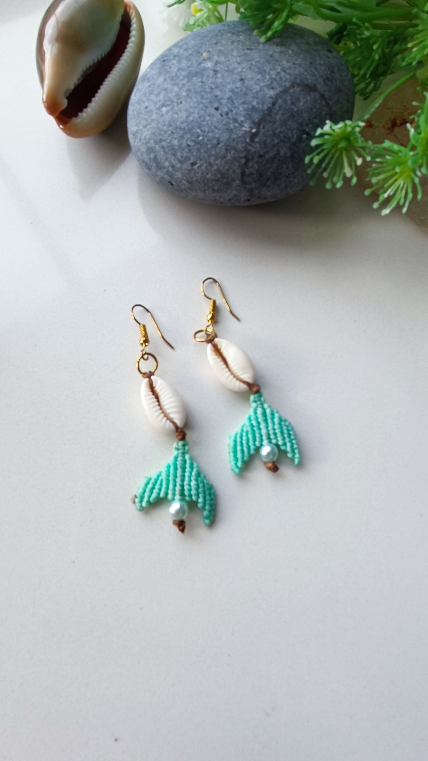 Conjunto de Conchas