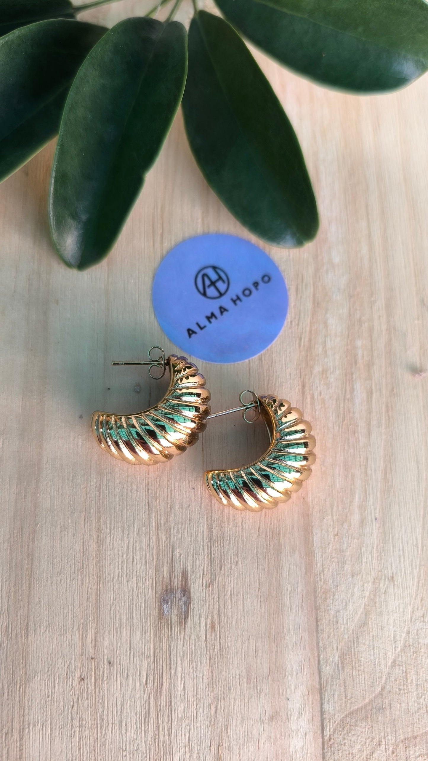 pendientes Croissant
