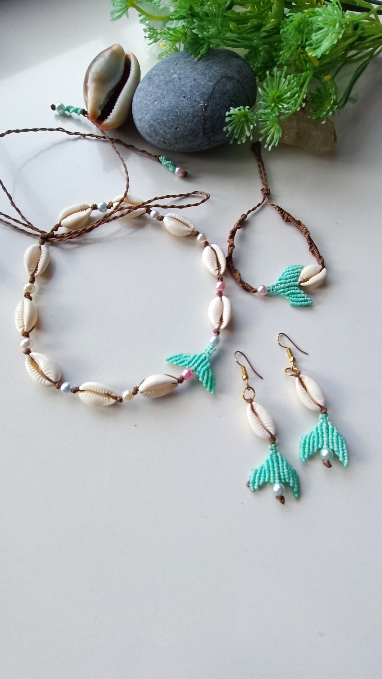 Conjunto de Conchas