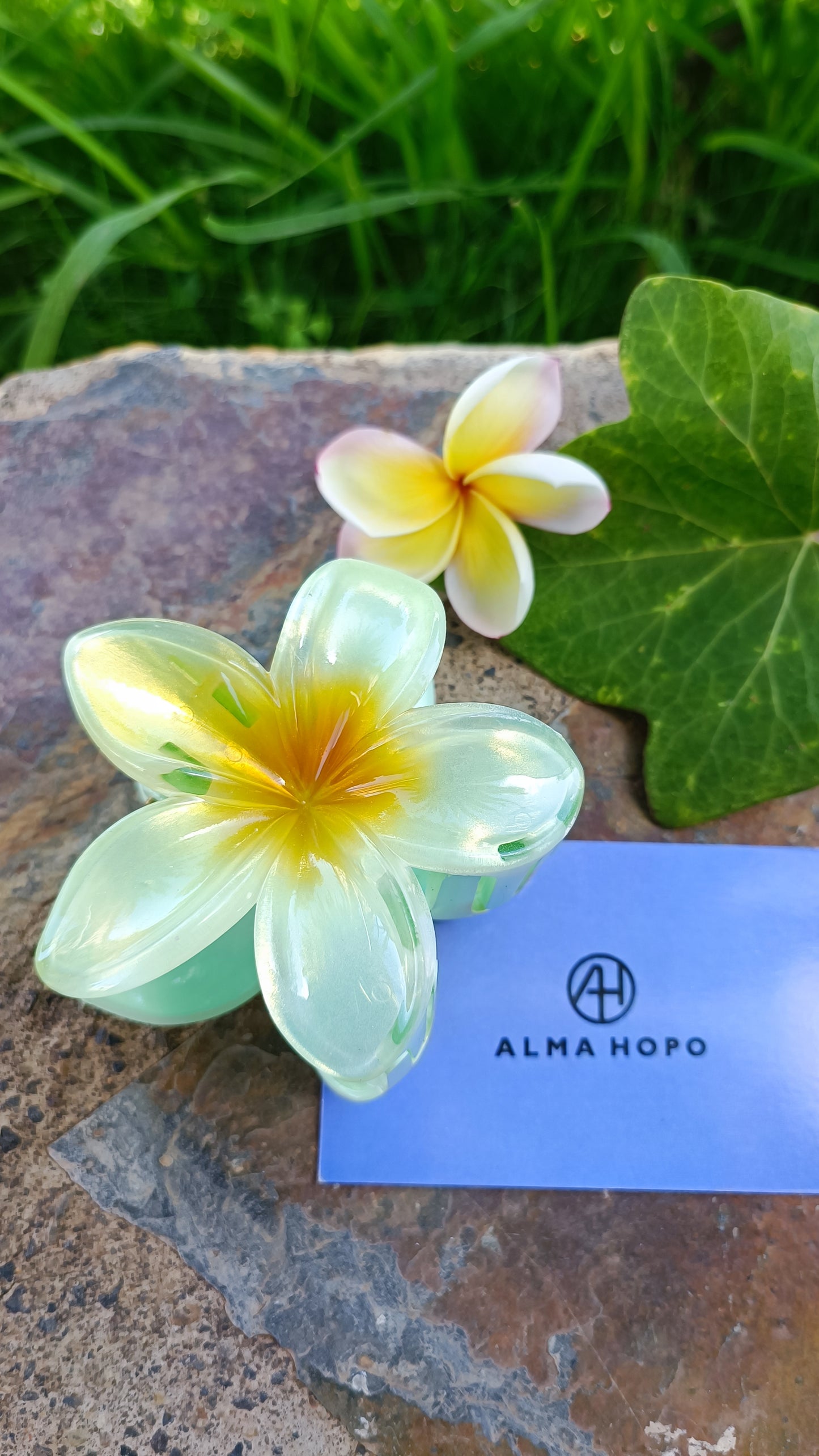 Pinza Flor Hawaiana