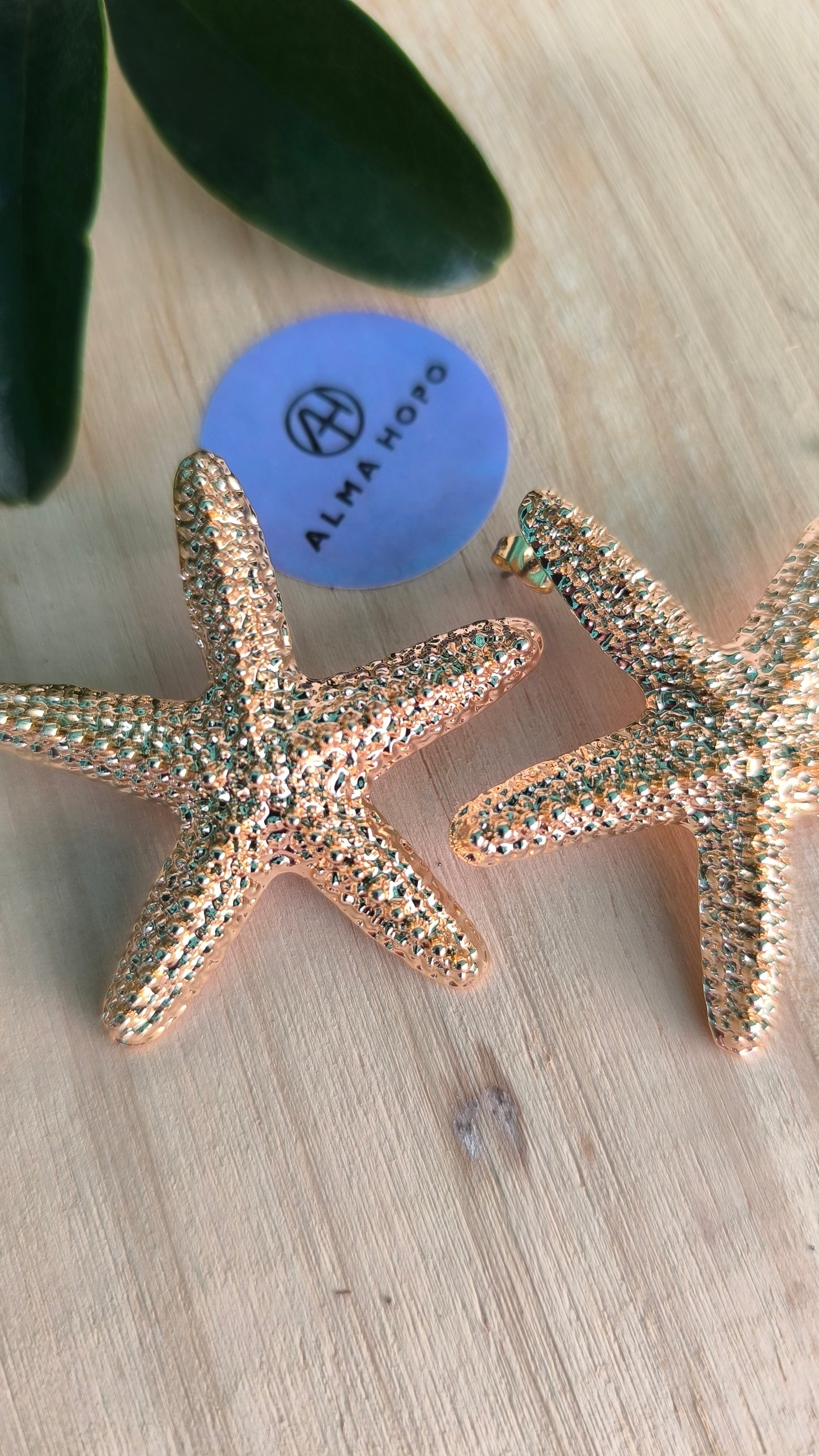 Pendientes Estrella Del Mar