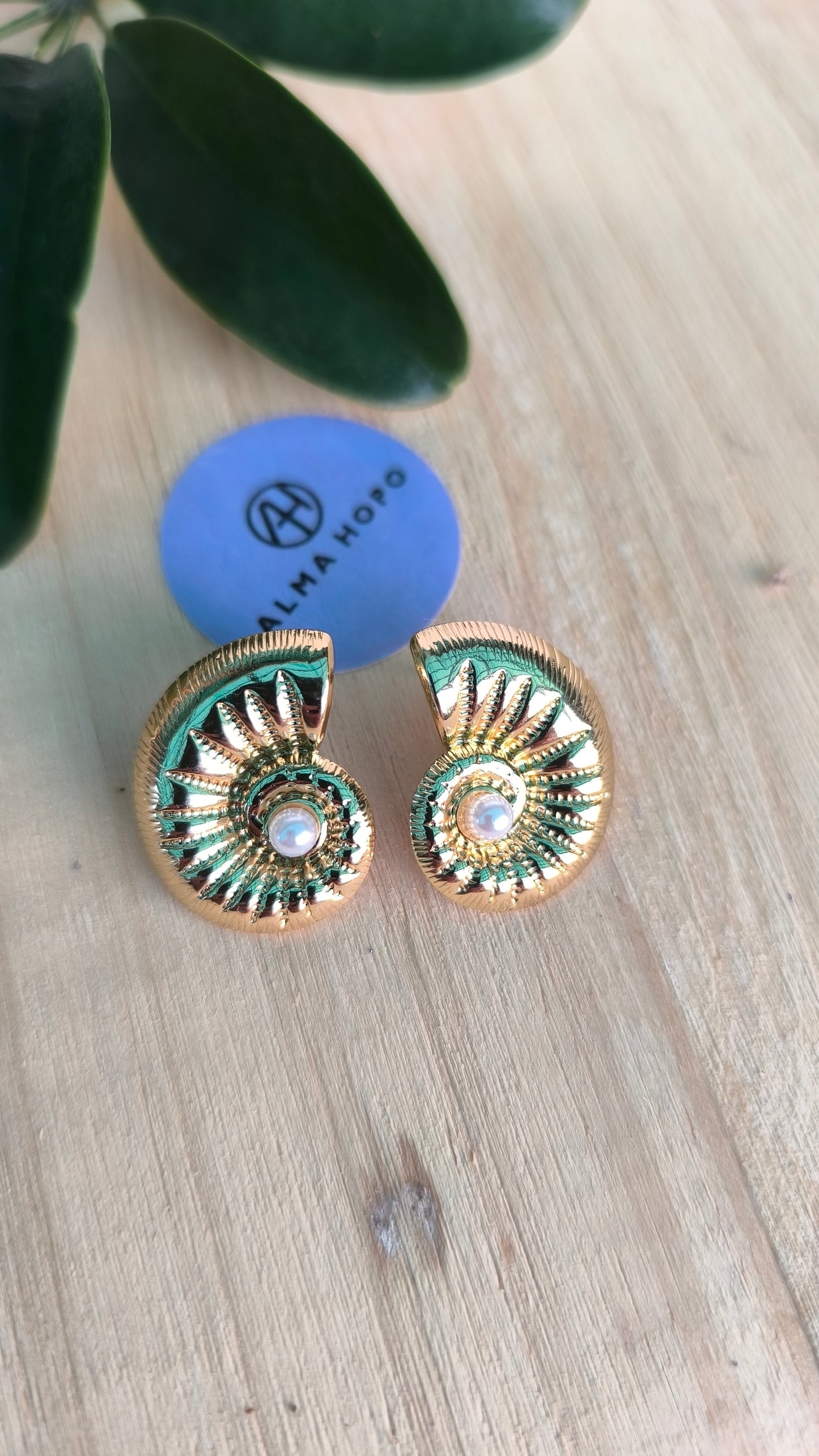 Pendientes Caracola