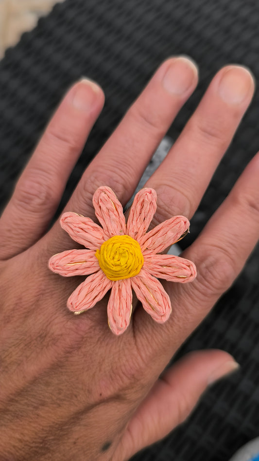 Anillos Multicolor 🏳️‍🌈