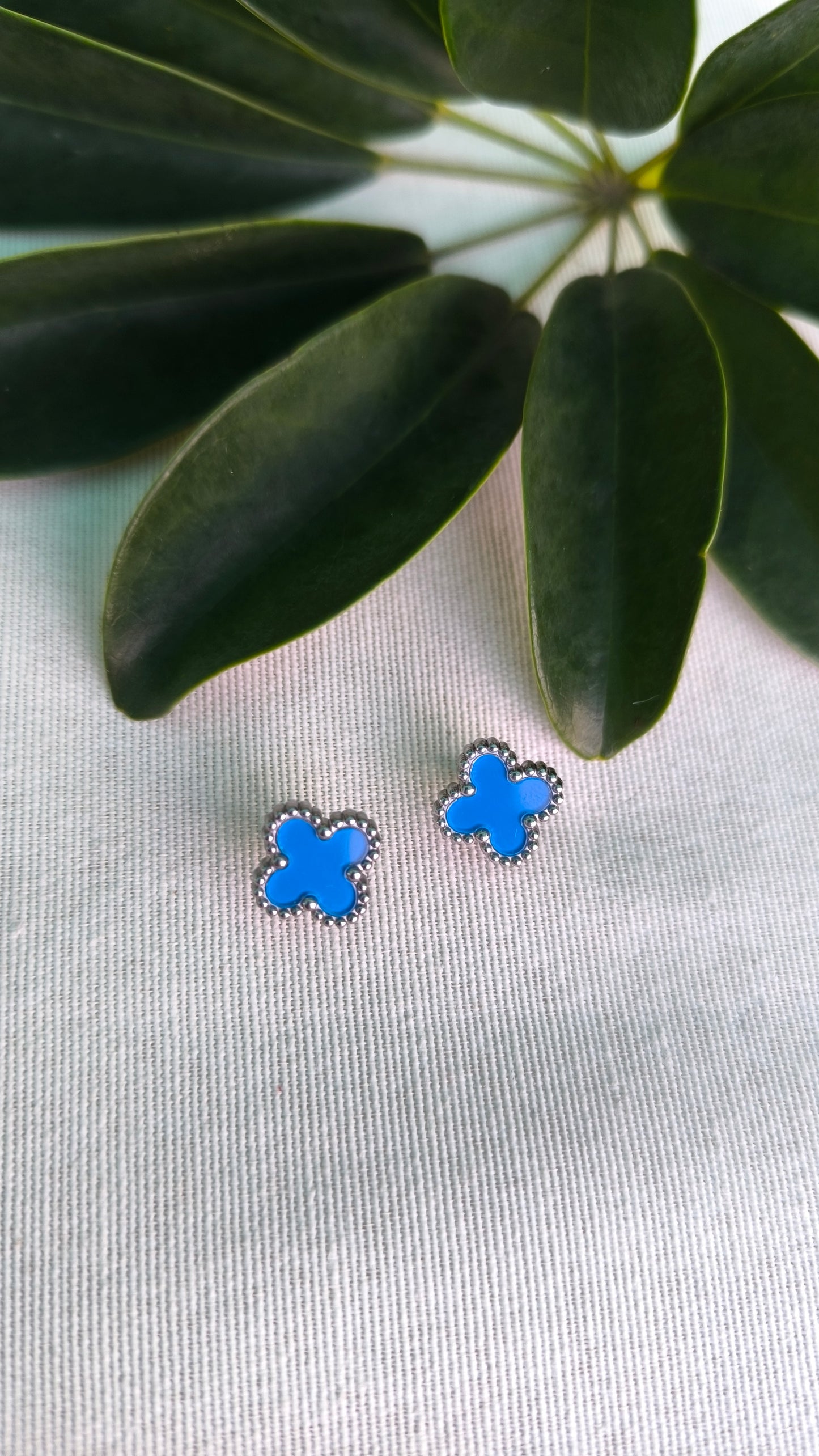 Conjunto Trébol Azul