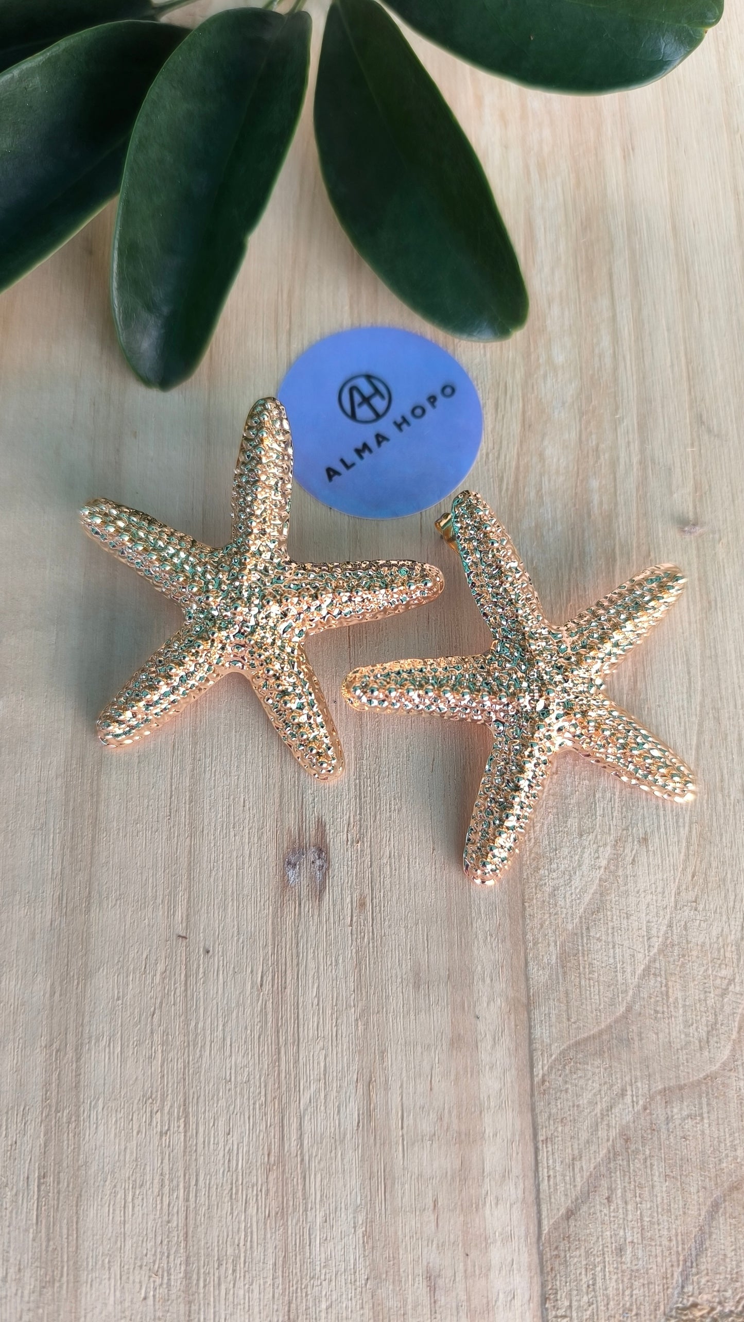 Pendientes Estrella Del Mar