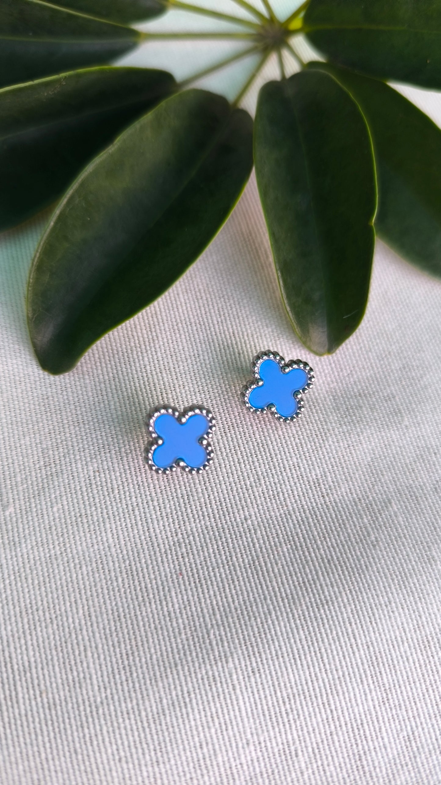 Conjunto Trébol Azul