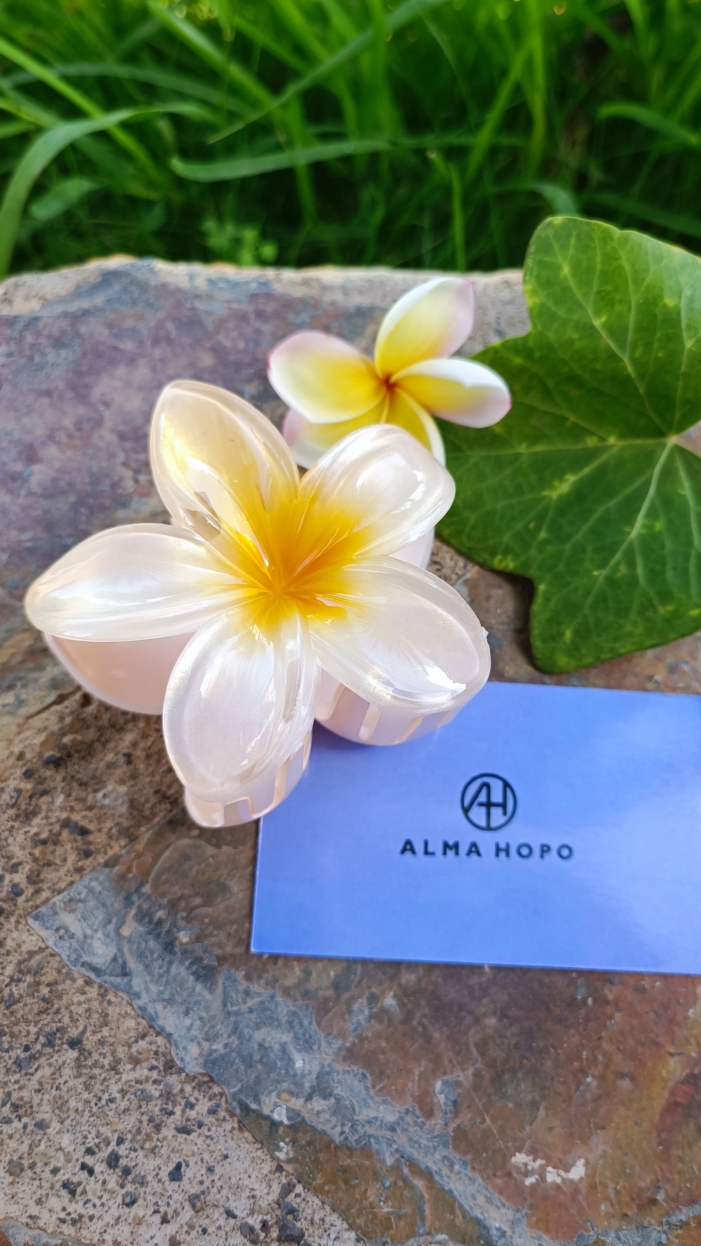 Pinza Flor Hawaiana