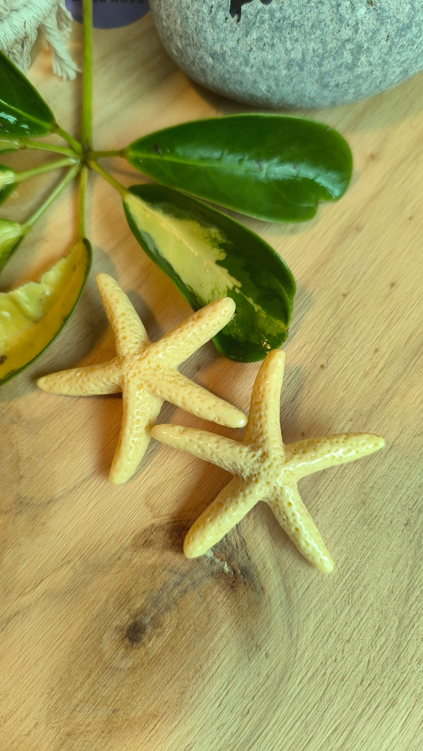 Pendientes Estrella