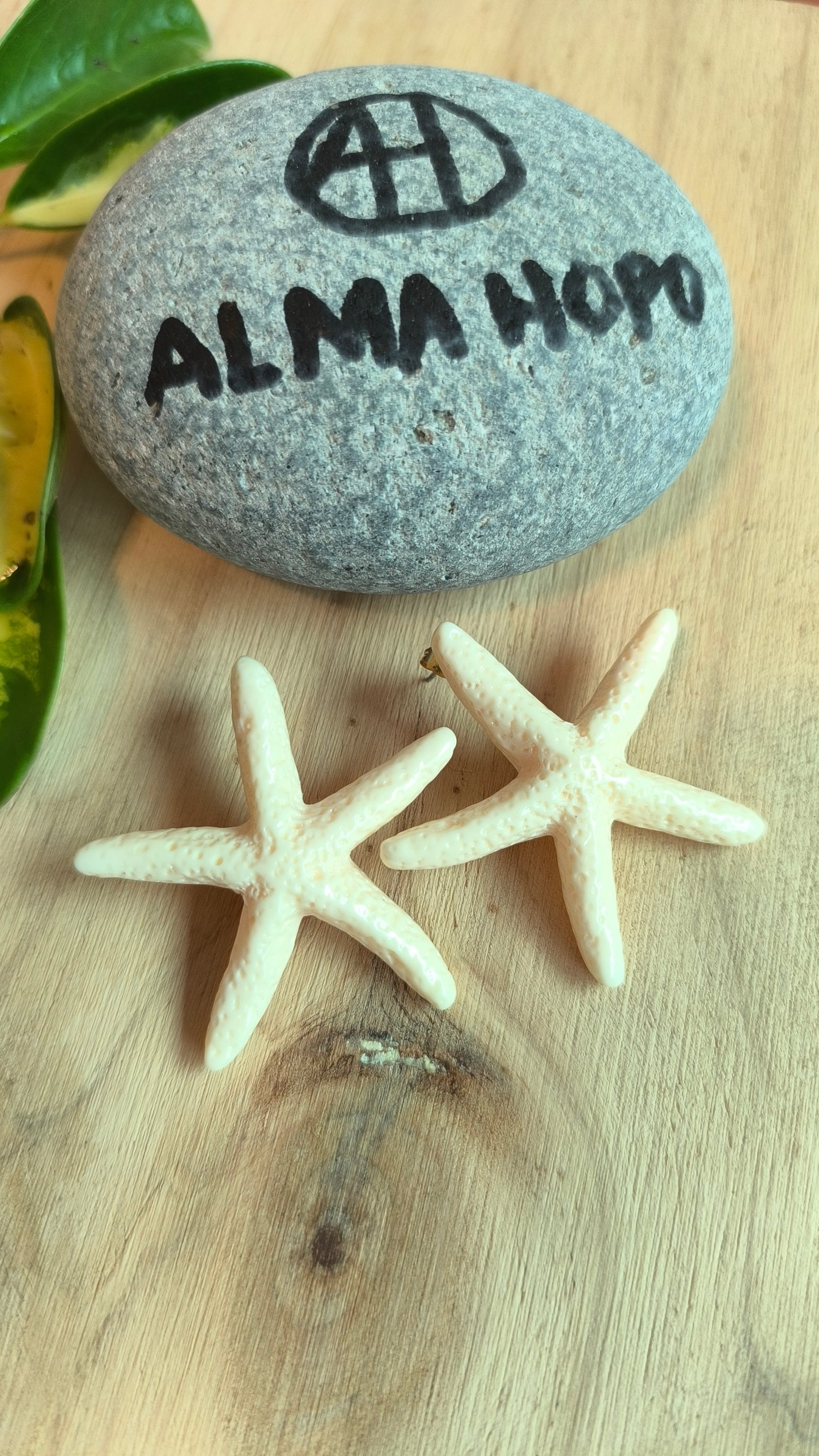 Pendientes Estrella