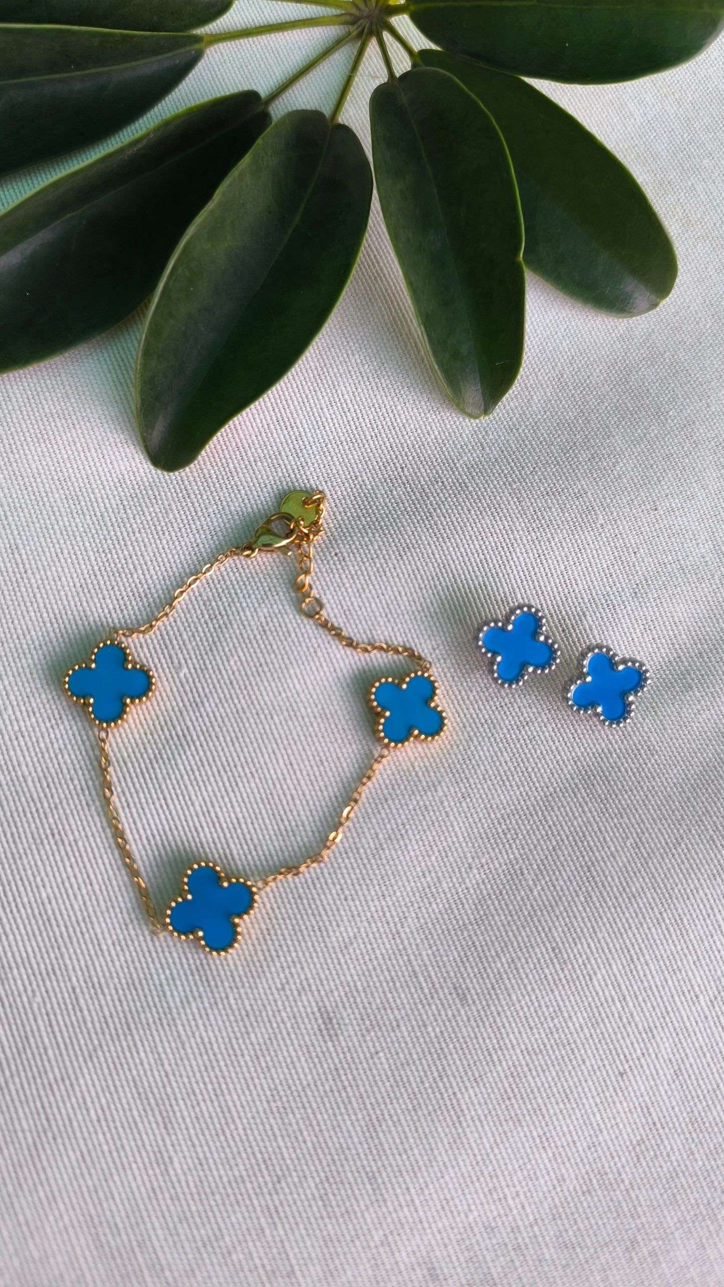 Conjunto Trébol Azul